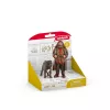 schleich Hagrid & Fang, 6 lat, Harry Potter™, Wielokolorowy, Plastik