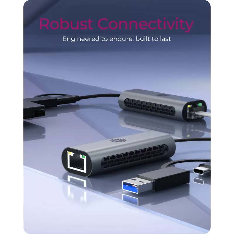 ICY BOX IB-LAN301-C3 Ethernet 2500 Mbit/s