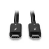 Lindy 1m Kabel Thunderbolt 4, 40Gbps, pasywny, Męski, Męski, 1 m, 40 Gbit/s, Czarny, Nikiel/Złoto