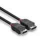 Kabel DisplayPort Lindy 2m DisplayPort 1.2 Czarny Line