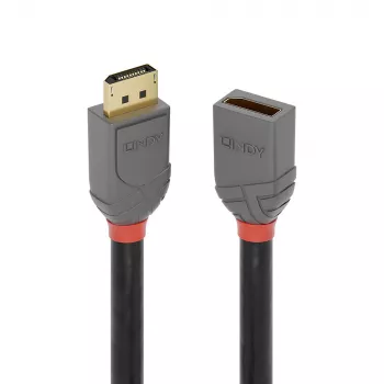 Przewód przedłużający Lindy DisplayPort 1.4 1m, Anthra Line