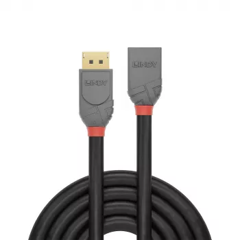 Przewód przedłużający Lindy DisplayPort 1.4 1m, Anthra Line