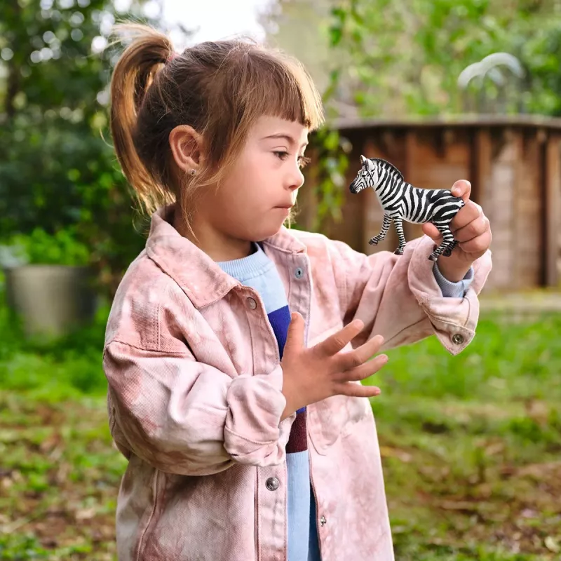 schleich WILD LIFE Zebra samica, 3 lata, Safari, Dzikie zwierzęta / zabawki przygodowe, Wielokolorowy, Plastik, 1 szt.