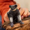 Figure Schleich WILD LIFE Indri Wielokolorowy 14877S Zalecany wiek 3 lata
