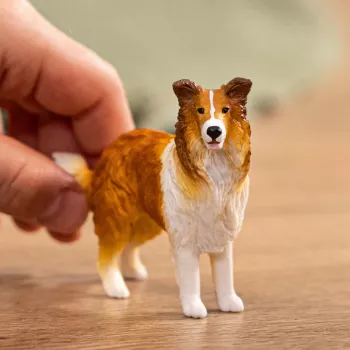schleich FARM WORLD Collie, 3 lata, Farma, Zwierzęta hodowlane / Zabawki wiejskie, Wielokolorowy