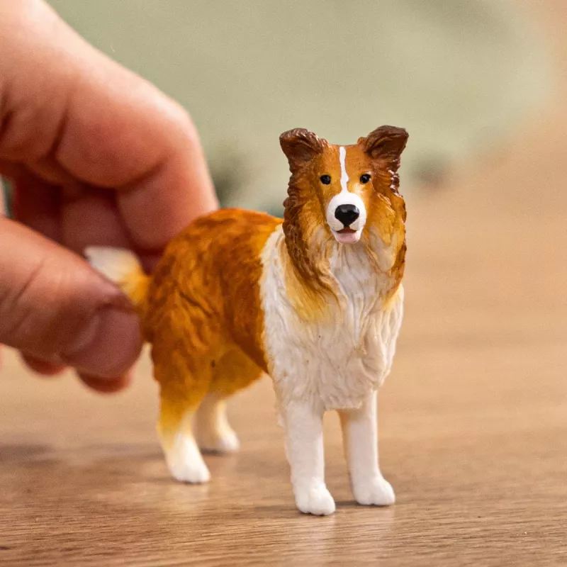 schleich FARM WORLD Collie, 3 lata, Farma, Zwierzęta hodowlane / Zabawki wiejskie, Wielokolorowy