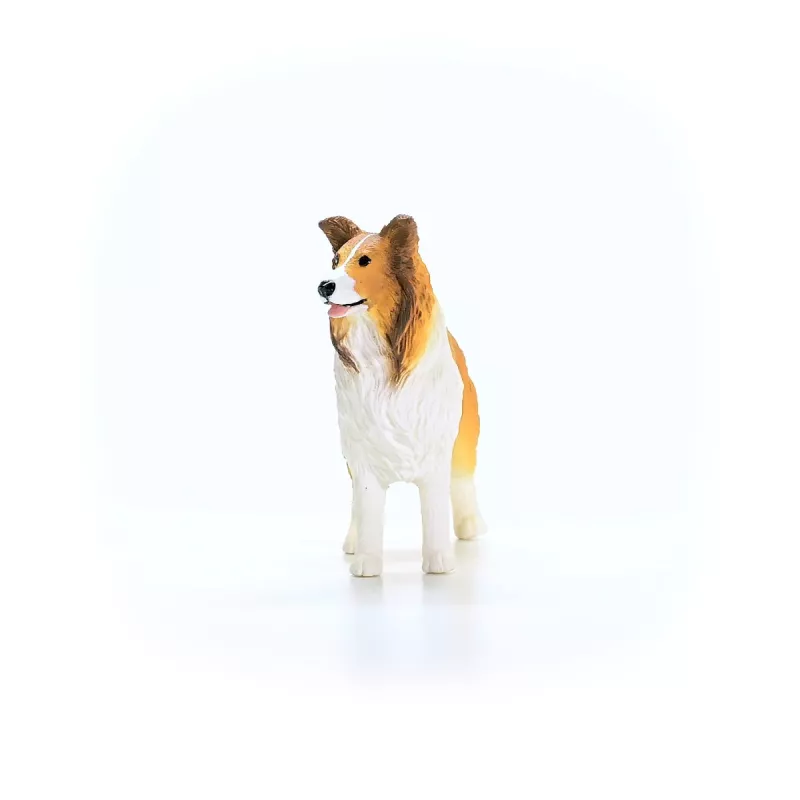 schleich FARM WORLD Collie, 3 lata, Farma, Zwierzęta hodowlane / Zabawki wiejskie, Wielokolorowy