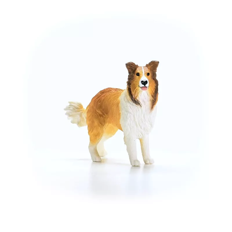 schleich FARM WORLD Collie, 3 lata, Farma, Zwierzęta hodowlane / Zabawki wiejskie, Wielokolorowy