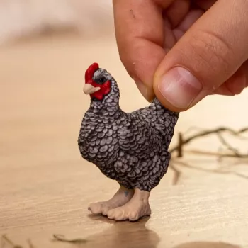 schleich FARM WORLD Plymouth Rock Chicken, 3 yr(s), Farm, Farm animals / farm toys, Multicolour