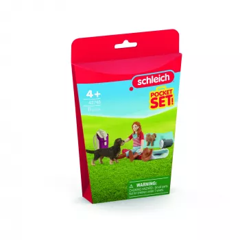schleich HORSE CLUB Sleepover Playset z Hannah, Zwierzę, Konie, Zestawy kieszonkowe, 5 lat, Wielokolorowy