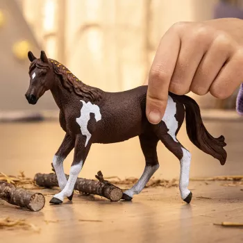 schleich HORSE CLUB Klacz Paint Horse, 5 lat, Konie, Wielokolorowy