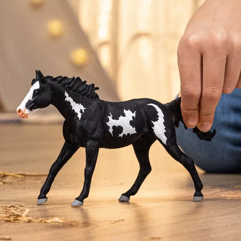 schleich HORSE CLUB Wałach rasy paint horse, 5 lat, Konie, Wielokolorowy