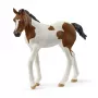 schleich HORSE CLUB Źrebię rasy Paint Horse, 5 lat, Konie, Wielokolorowy