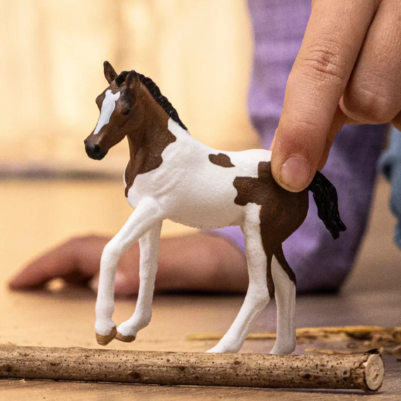 schleich HORSE CLUB Źrebię rasy Paint Horse, 5 lat, Konie, Wielokolorowy
