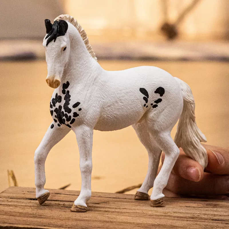 schleich HORSE CLUB Ogier Marwari, 5 lat, Konie, Wielokolorowy
