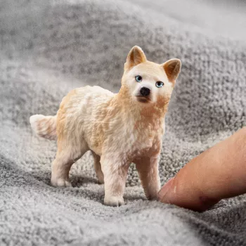 schleich WILD LIFE Młode wilka polarnego, 3 lat(a), Lód i ocean, Dzikie zwierzęta / zabawki przygodowe, Wielokolorowy