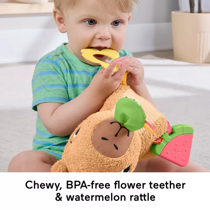 Zabawkowa kapibara Fisher-Price Snuggly Snacky Capy 0,5 roku
