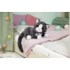 BABY born My Cat Cookie z pudełkiem, lalkowe zwierzątko, od 3 lat, wymaga baterii