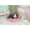 BABY born My Cat Cookie z pudełkiem, lalkowe zwierzątko, od 3 lat, wymaga baterii