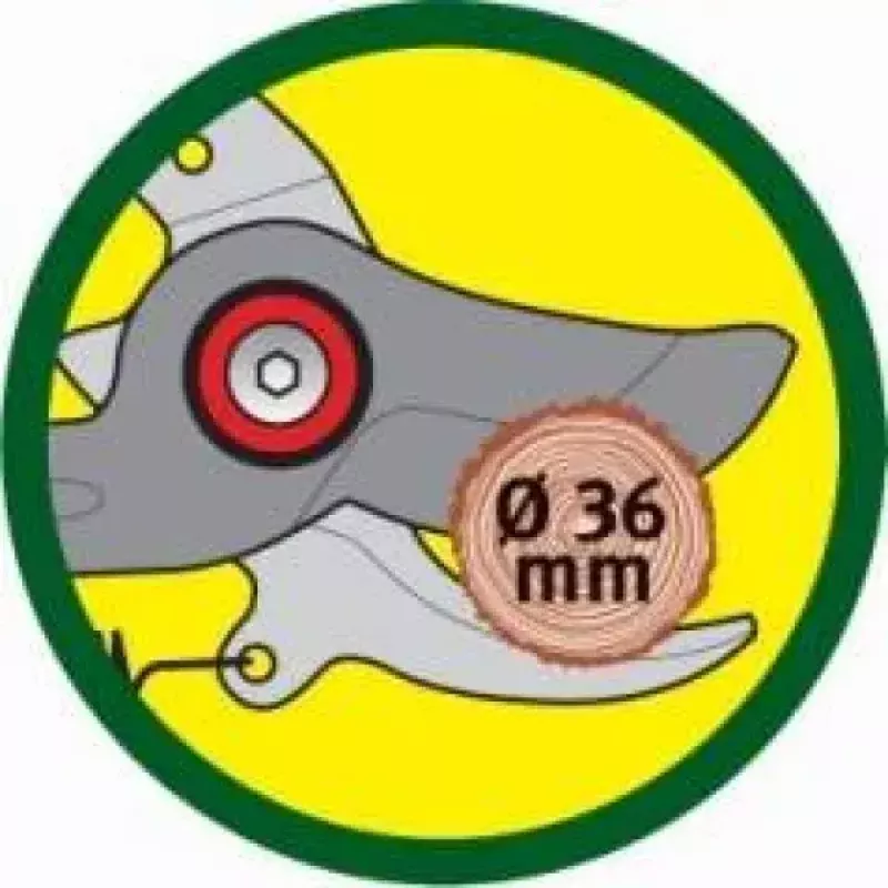 Sekatory WOLF-Garten RR-VM