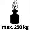 Wciągnik linowy Einhell TC-EH 250 500 W 12 m 125 kg