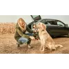 Bosch Fontus 18V myjka ciśnieniowa pionowa akumulatorowa