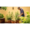 Bosch GardenPump18V-2000 2000 l/h