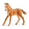 schleich HORSE CLUB Lakeside Riding Center, Farma, Stajnia dla koni, Konie, 5 lat, Wielokolorowy, Plastik
