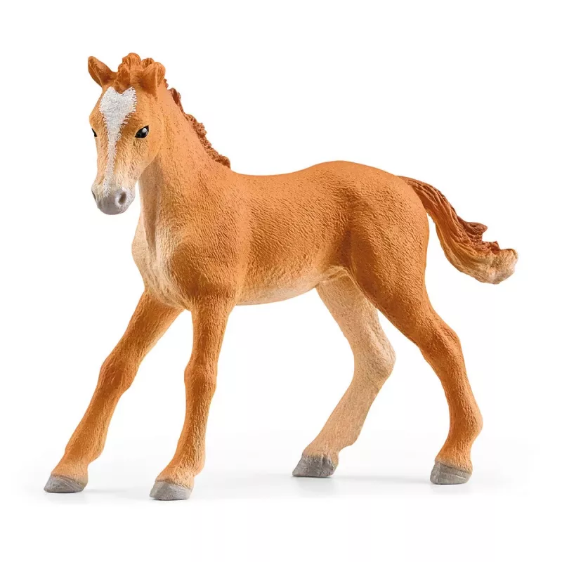 schleich HORSE CLUB Lakeside Riding Center, Farma, Stajnia dla koni, Konie, 5 lat, Wielokolorowy, Plastik