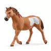 schleich Cowgirl Team Roping Fun, 3 lat(a), Wielokolorowy