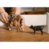 schleich Western Riding Adventures, 3 lata, Wielokolorowy