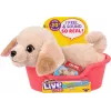 Moose Toys Little Live Pets My Really Real Puppy Mini's - Golden Retriever Buddy