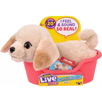Moose Toys Little Live Pets My Really Real Puppy Mini's - Golden Retriever Buddy
