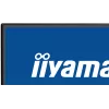 Monitor komputerowy iiyama ProLite X2792QSU-B1 68.6 cm (27 cali) 2560 x 1440 pikseli Quad HD LED Czarny