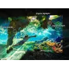 Telewizor OLED Samsung 65 cali S90F 65 cali 4K Ultra HD OLED 3840x2160, Tizen, 120Hz, HDMI x4, FreeSync