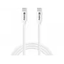 Sandberg USB-C USB-C 65W 1M SAVER, 1 m, USB C, USB C, USB 2.0, biały