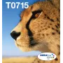 Epson Multipack 4-kolory T071 EasyMail, Standardowa wydajność, Czarny, cyjan, magenta, Żółty, 7,4 ml, 5,5 ml, 1 szt., Multi pack