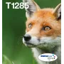 Wielopak wkładów atramentowych do drukarek atramentowych Epson Fox T128 EasyMail — 4 kolory (Czarny 5,9 ml; cyjan/magenta/żółty 3,5 ml)