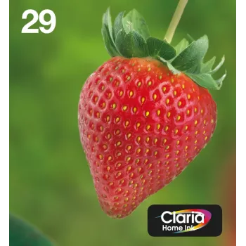 Epson Strawberry Multipack 4-kolory 29 EasyMail, Standardowa Wydajność, Czarny, cyjan, magenta, Żółty, 5.3 ml, 3.2 ml, 1 szt., Wielopak