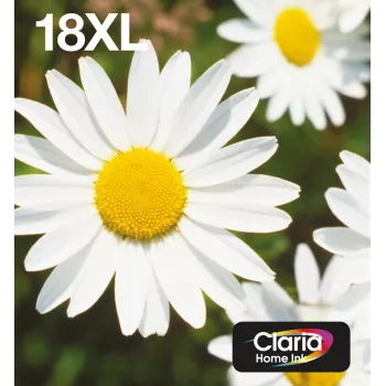 Epson Daisy Multipack 4-kolory 18XL EasyMail, Wysoka (XL) wydajność, Czarny, Cyjan, magenta, Żółty, 11,5 ml, 6,6 ml, 1 szt., Zestaw zbiorczy