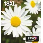 Epson Daisy Multipack 4-kolory 18XL EasyMail, Wysoka (XL) wydajność, Czarny, Cyjan, magenta, Żółty, 11,5 ml, 6,6 ml, 1 szt., Zestaw zbiorczy