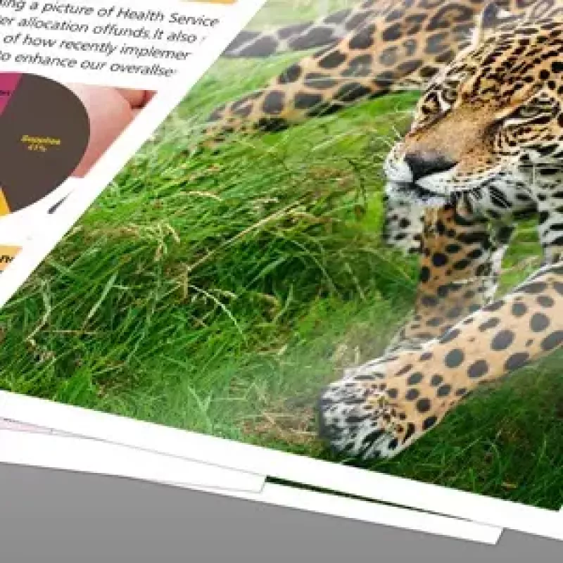 Epson Iron-on-Transfer Paper – A4 – 10 arkuszy
