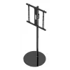 Uchwyt telewizyjny Gembird TVS-65S-02 Czarny 165,1 cm 35 kg