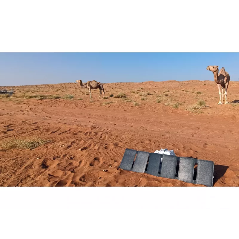 Sandberg Solar Charger 40W QC3.0+PD+DC, zewnętrzna, solarna, czarna