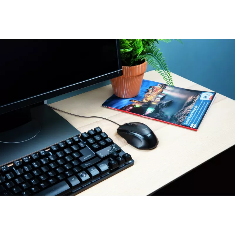 Mysz Trust Voca biurowa praworęczna USB typu A optyczna 2400 DPI