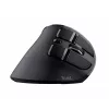 Mysz Trust Voxx biurowa praworęczna RF Wireless + Bluetooth Optyczna 2400 DPI