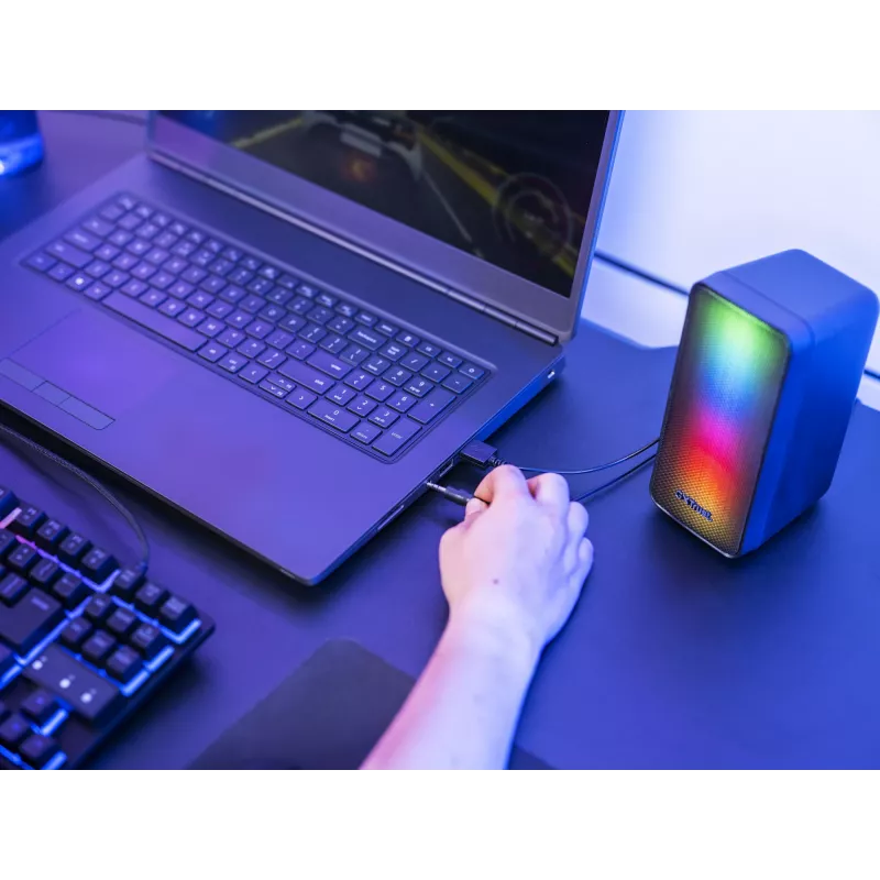 Zestaw głośnikowy Trust GXT 611 Wezz 6 W PC/Laptop Czarny 2.0 kanały 3 W