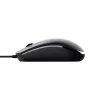 Mysz Trust TM-101 Home symetryczna USB Typ-A Optyczna 1200 DPI