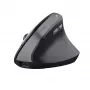 Trust TM-270 mysz biurowa dla prawej ręki RF Wireless optyczna 2400 DPI