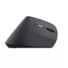 Trust TM-270 mysz biurowa dla prawej ręki RF Wireless optyczna 2400 DPI